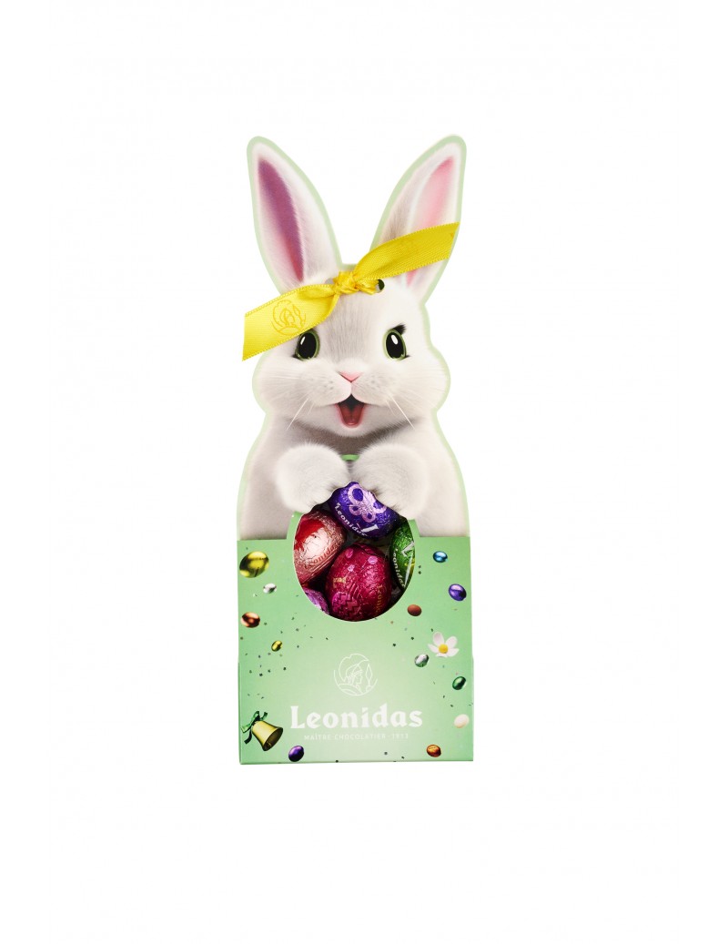 Lapin carton 24 petits œufs